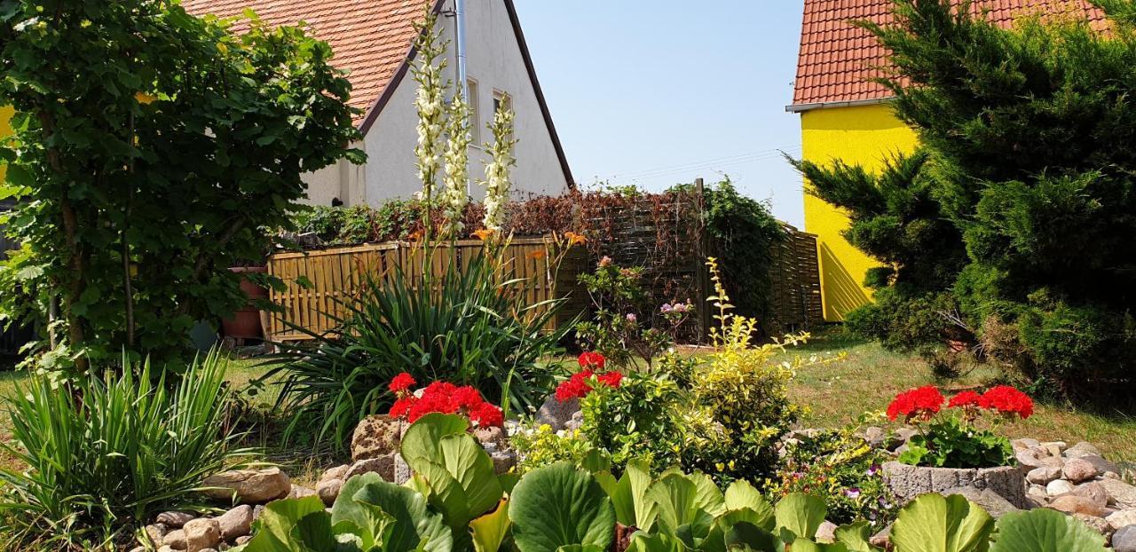 Ferienwohnungen "Zur Schamper Muehle" Gotthun Luaran gambar